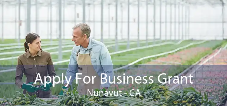 Apply For Business Grant Nunavut - CA